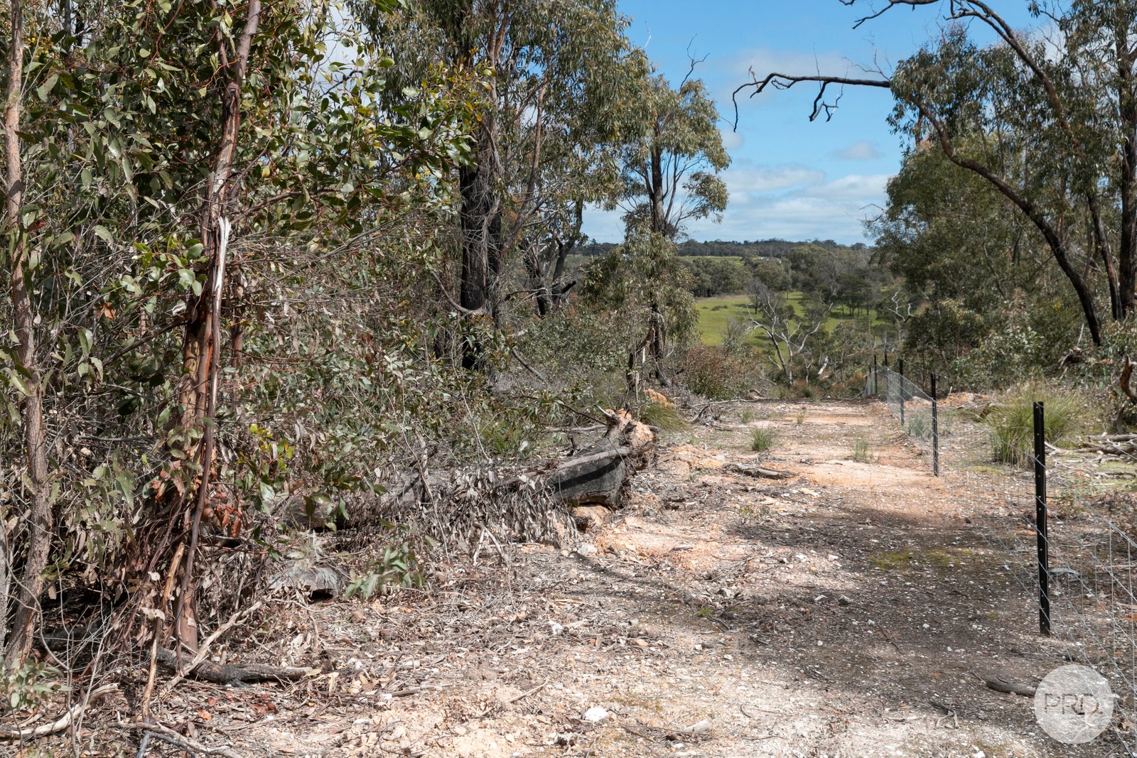 755 Paynes Bridge Road DEREEL 11