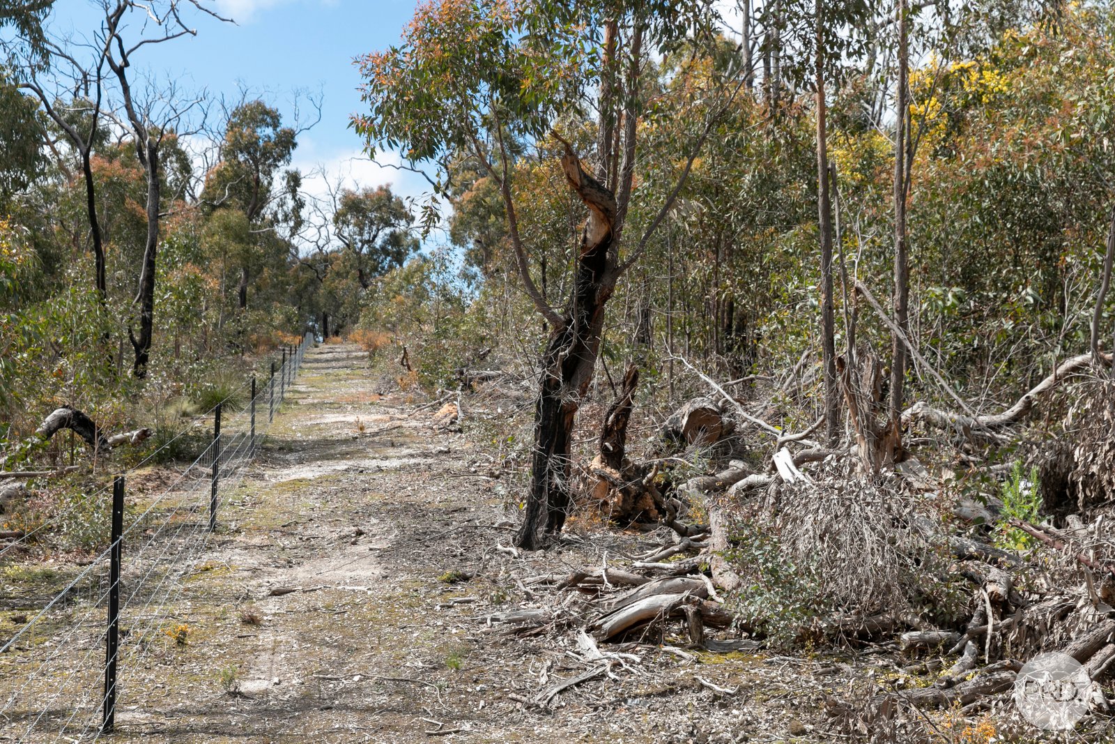 755 Paynes Bridge Road DEREEL 12