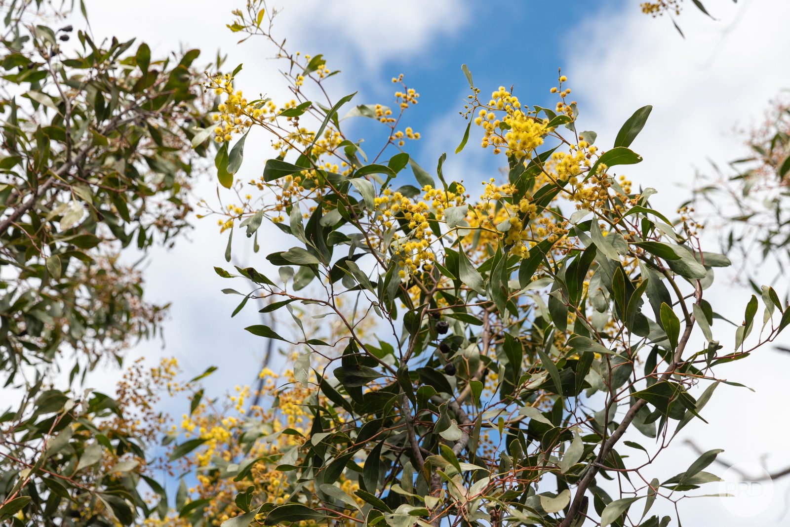 755 Paynes Bridge Road DEREEL 13