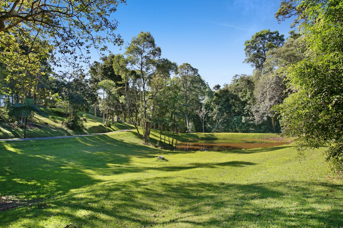 756 Trees Road Tallebudgera Valley 16