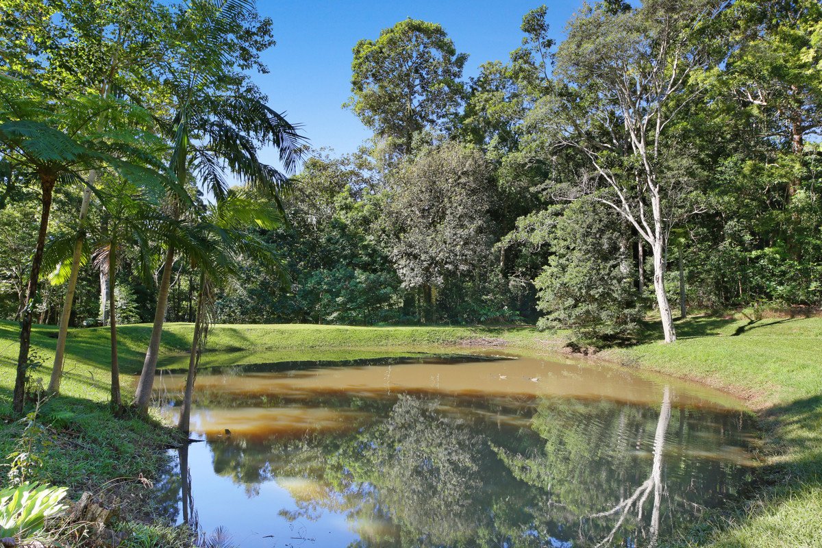756 Trees Road Tallebudgera Valley 26