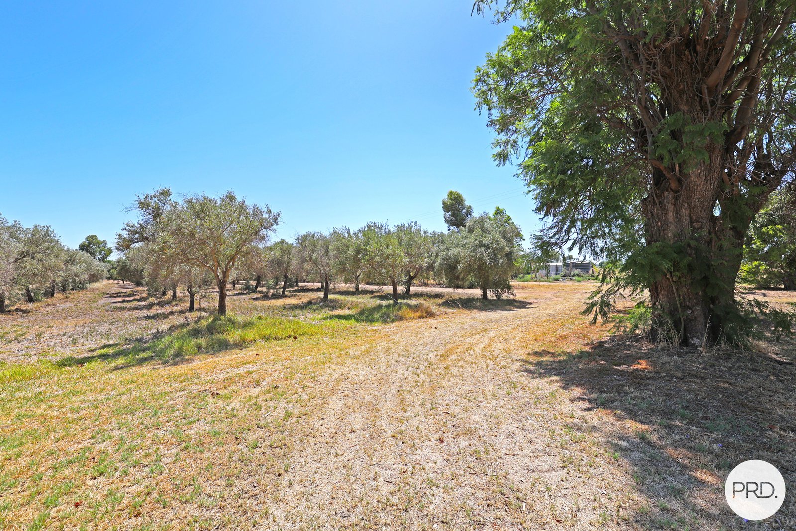 76 Norman Road MERBEIN WEST 20