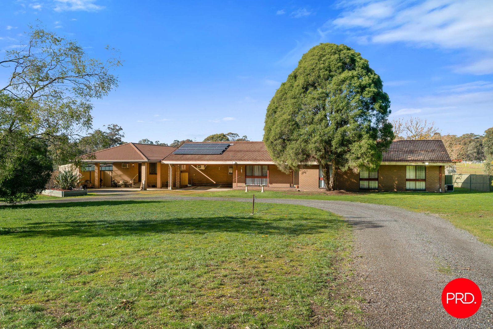 76 Racecourse Road ASCOT 3