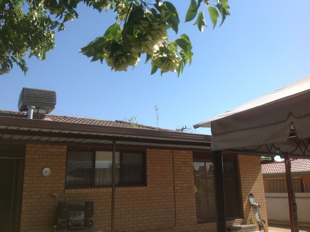 76 Sydney Street TUMUT 4