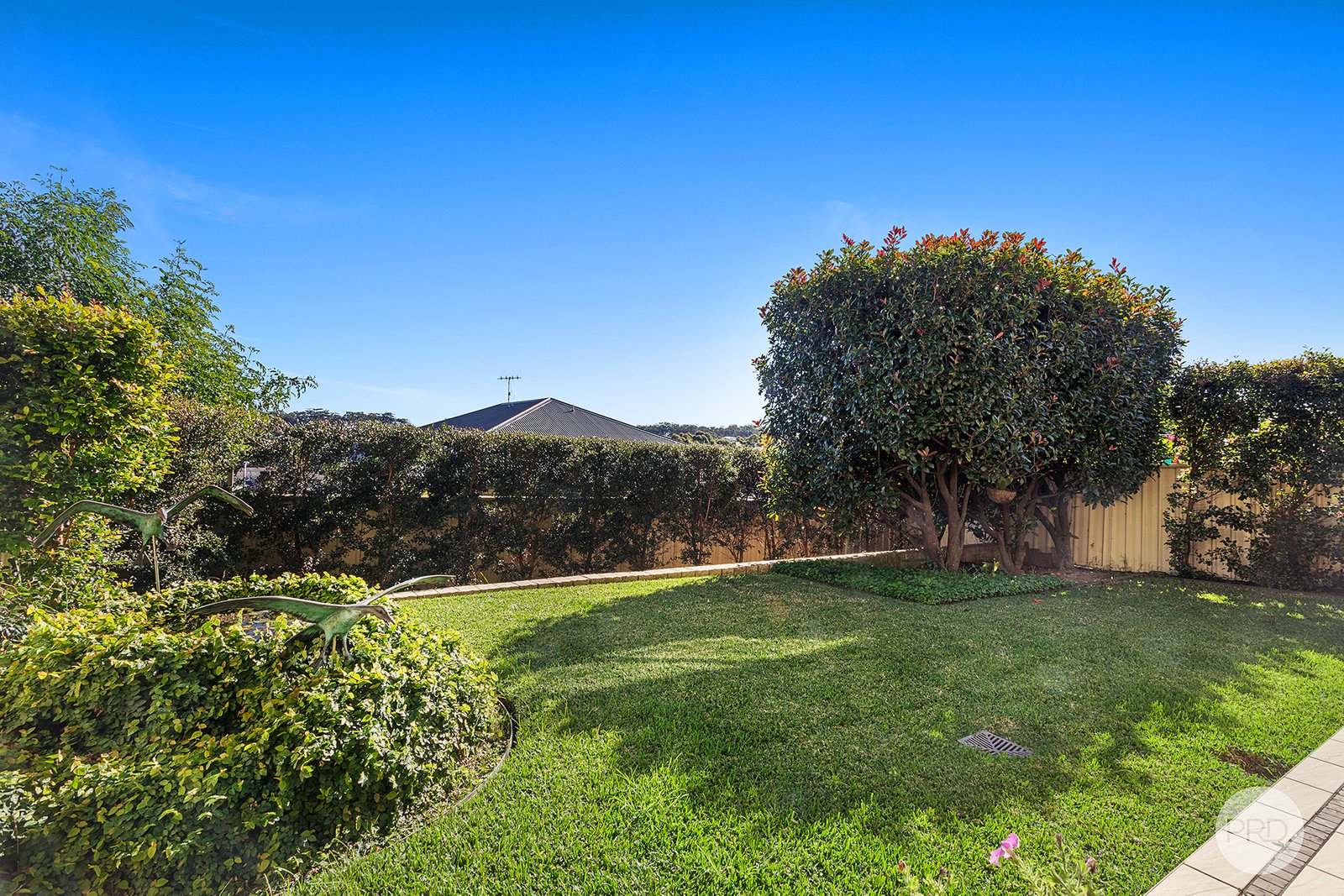 76 Wallawa Road CORLETTE 25