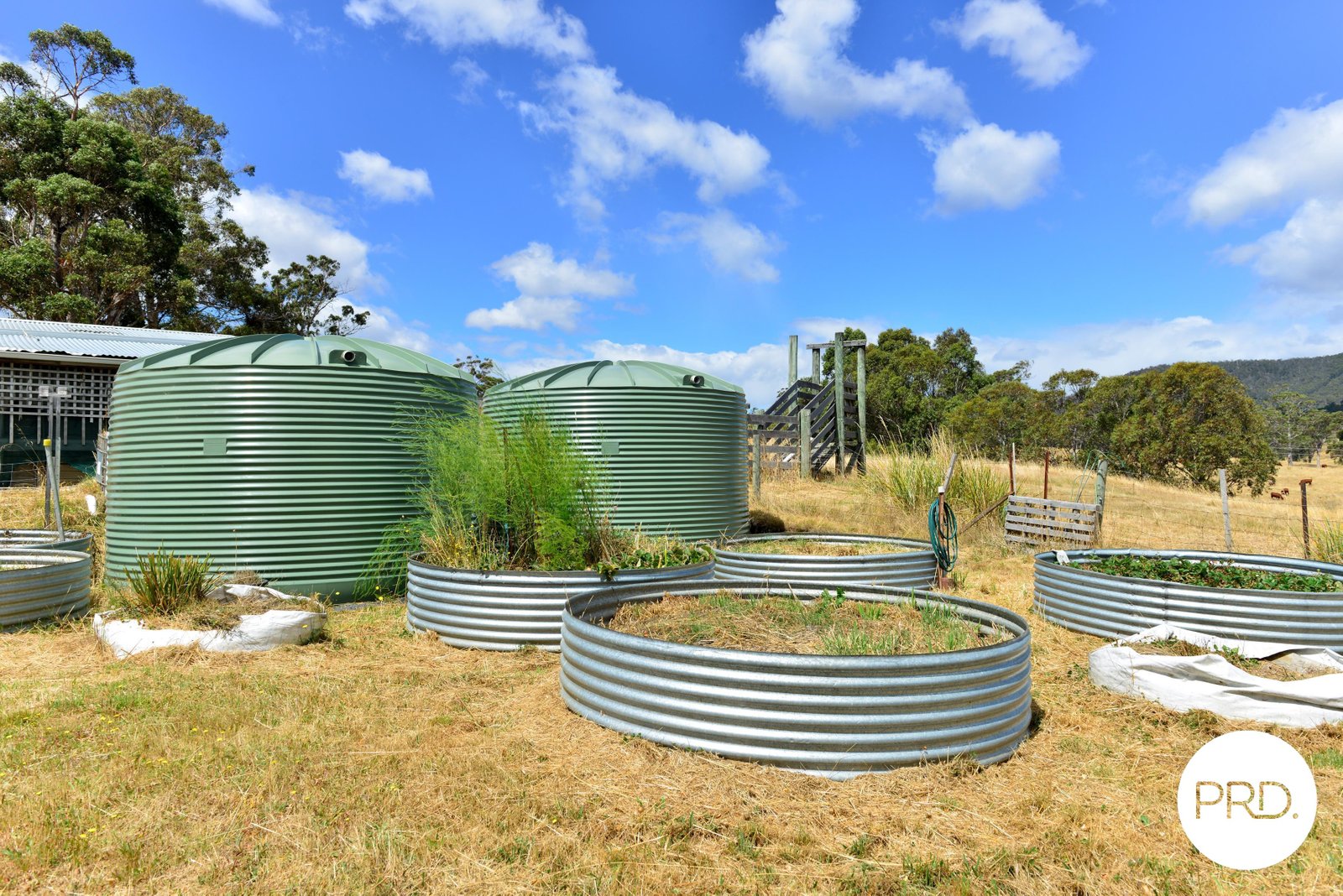 760 Ellendale Road ELLENDALE 20