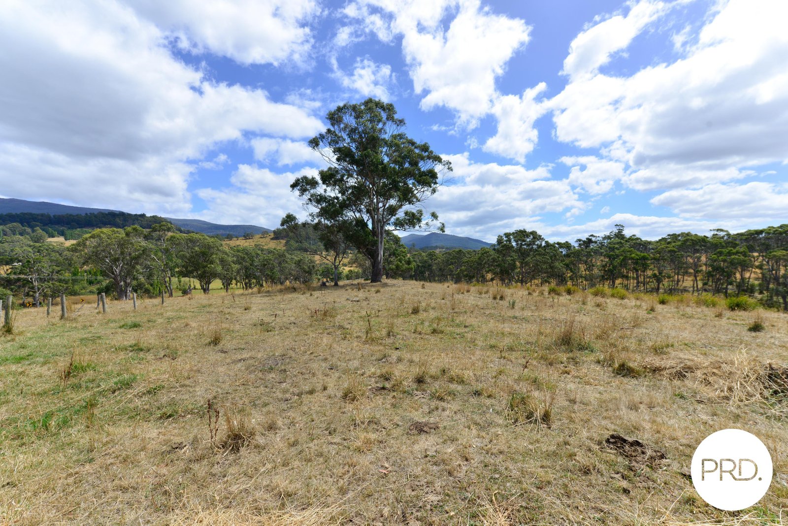 760 Ellendale Road ELLENDALE 28