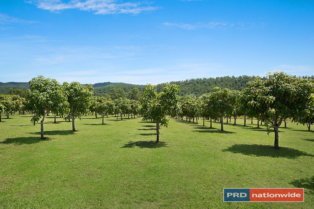 763 Cob O'Corn Road KYOGLE 5