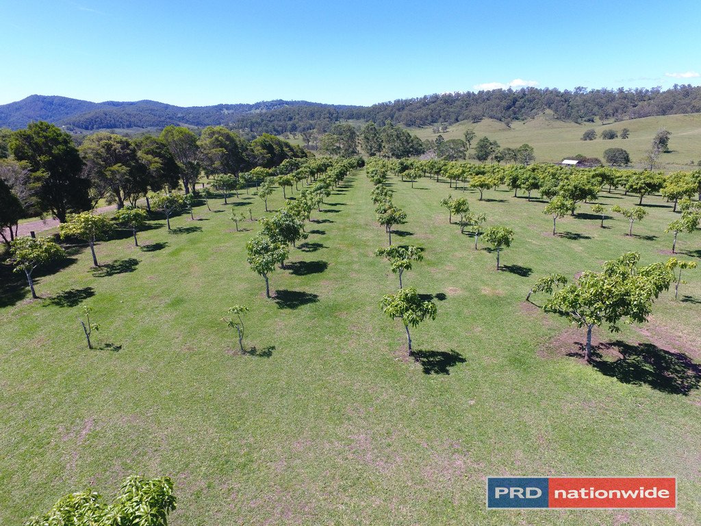 763 Cob O'Corn Road KYOGLE 22