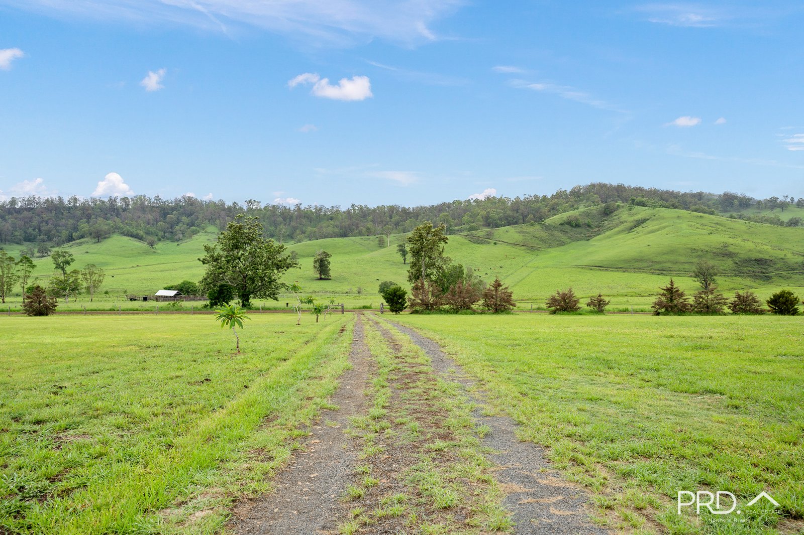763 Old Cob 'O' Corn Road KYOGLE 7