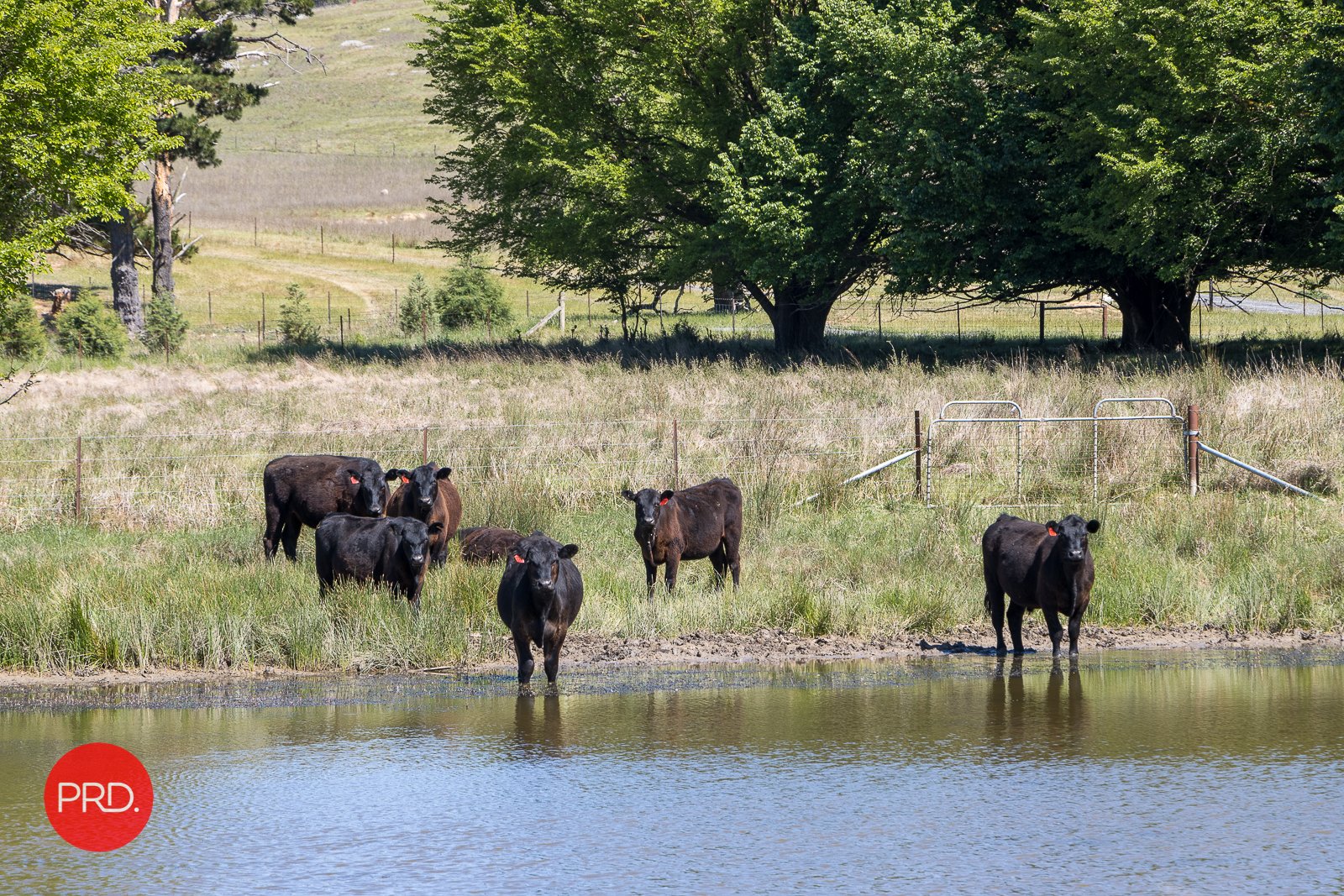 764 Taylors Creek Road TARAGO 18