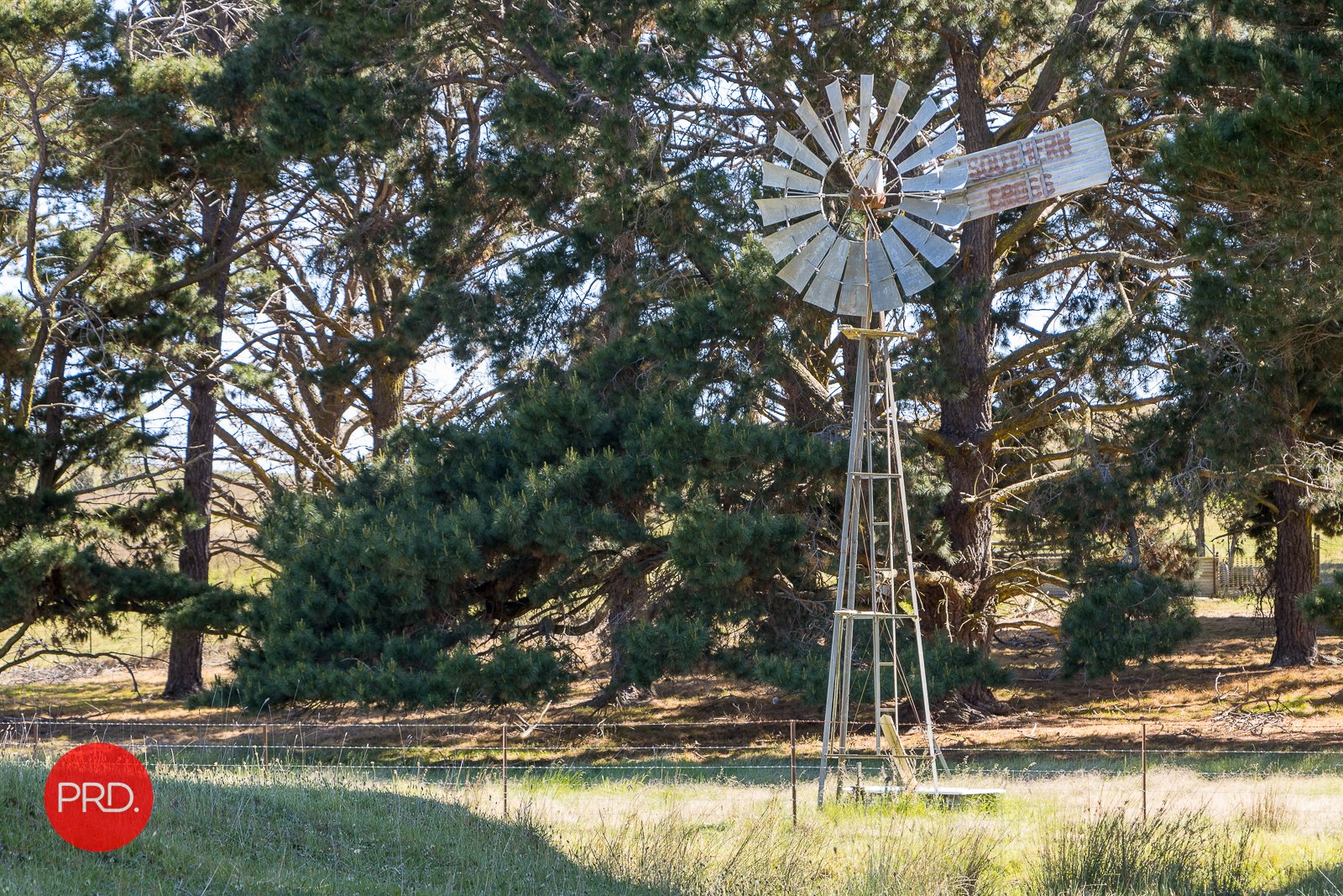764 Taylors Creek Road TARAGO 23