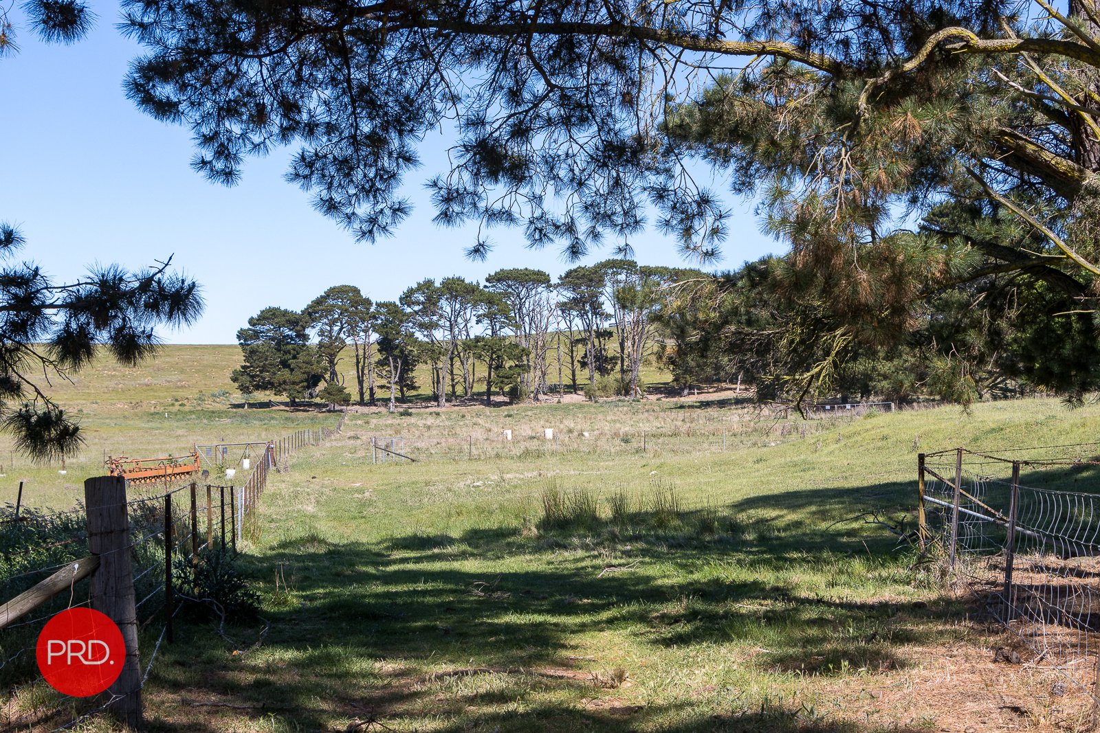 764 Taylors Creek Road TARAGO 24