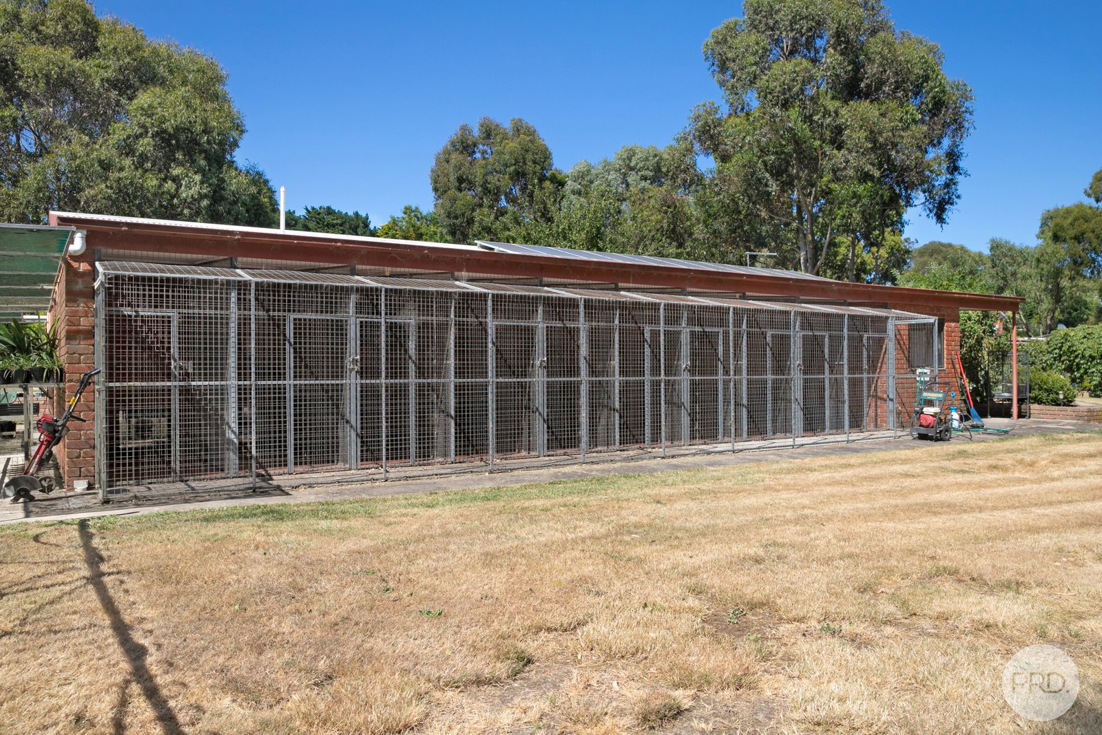 Rowan house boarding store kennels