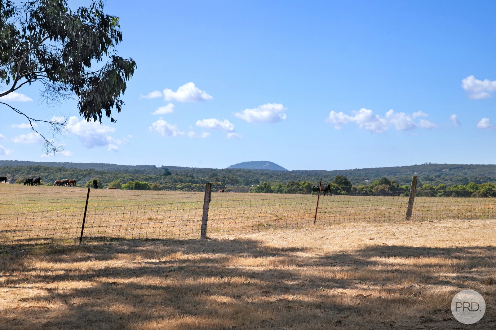 766 Midland Highway MOUNT ROWAN 16