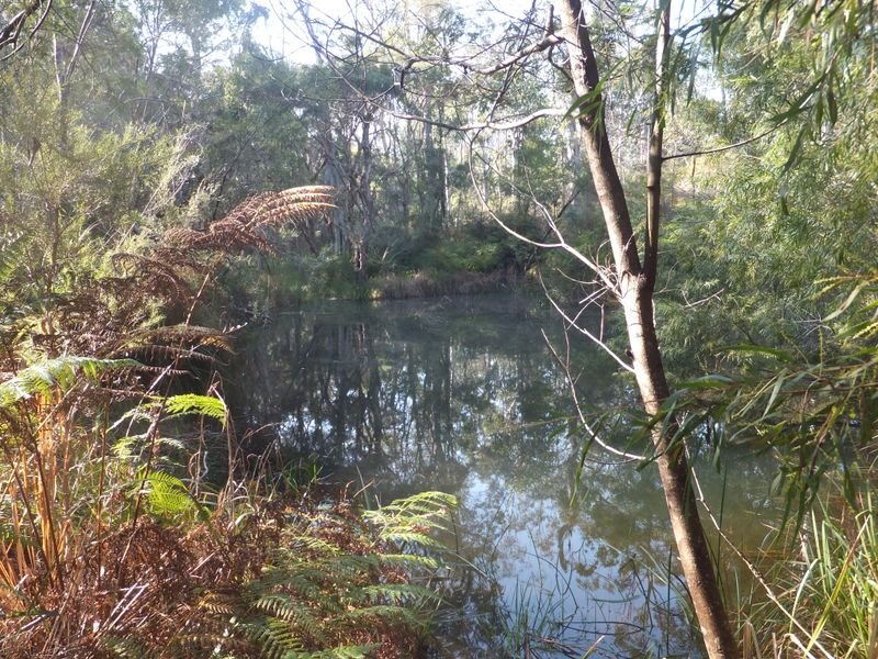 767 Parker Road WELLS CROSSING 8