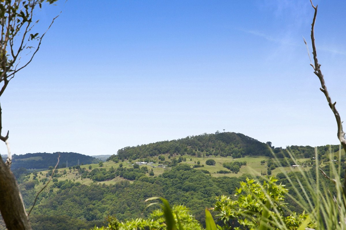 767 Trees Road Currumbin Valley 20