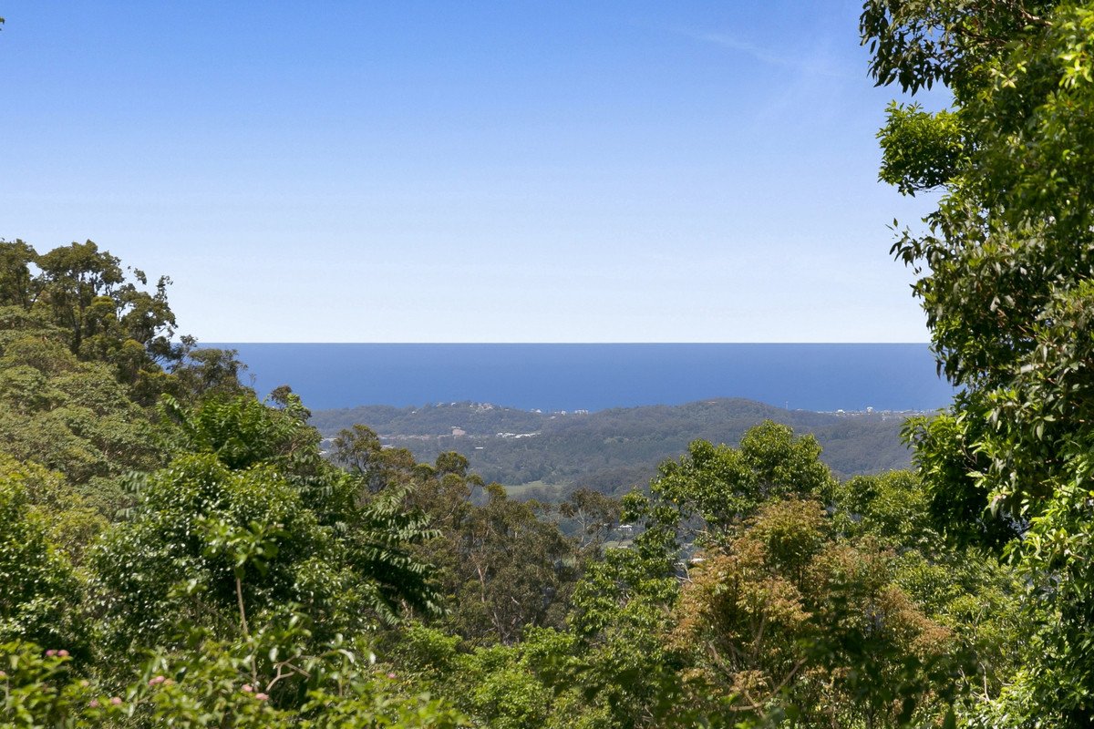 767 Trees Road Currumbin Valley 21