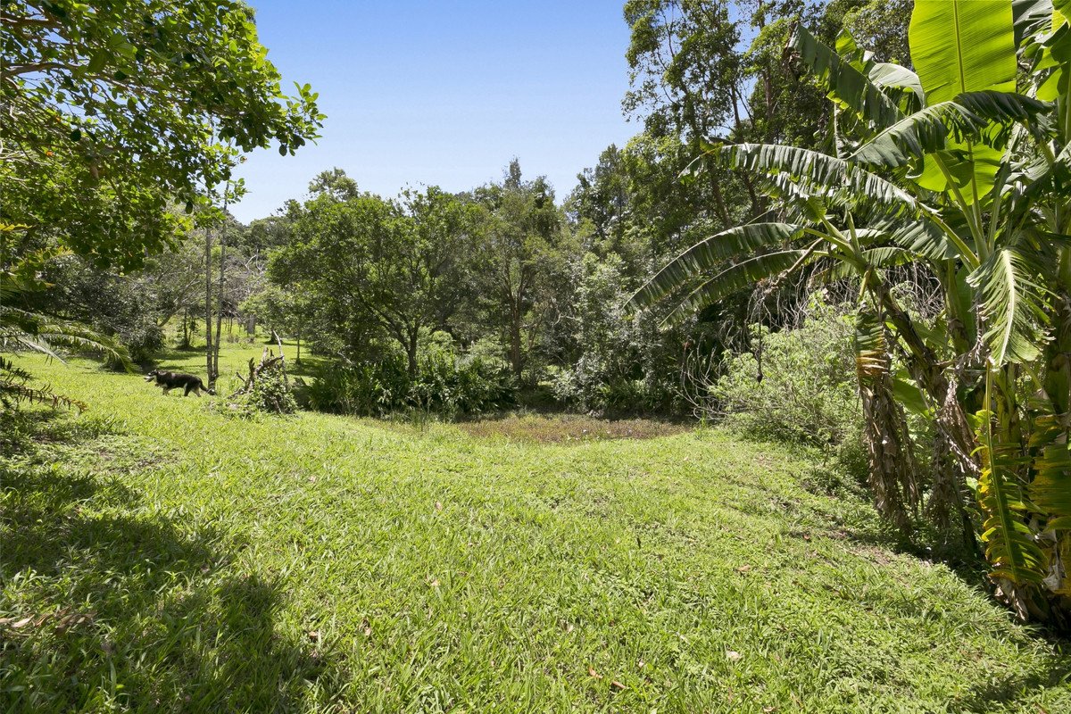 767 Trees Road Currumbin Valley 24