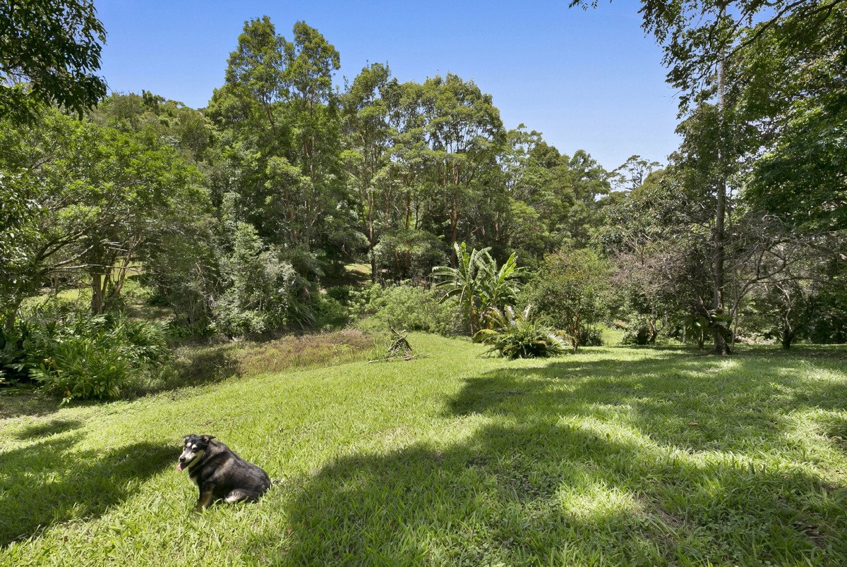 767 Trees Road Currumbin Valley 26