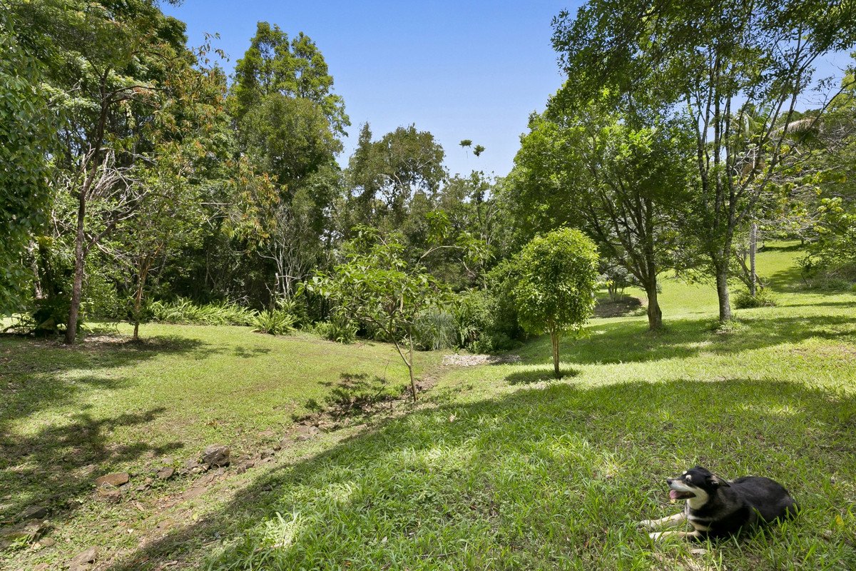 767 Trees Road Currumbin Valley 30