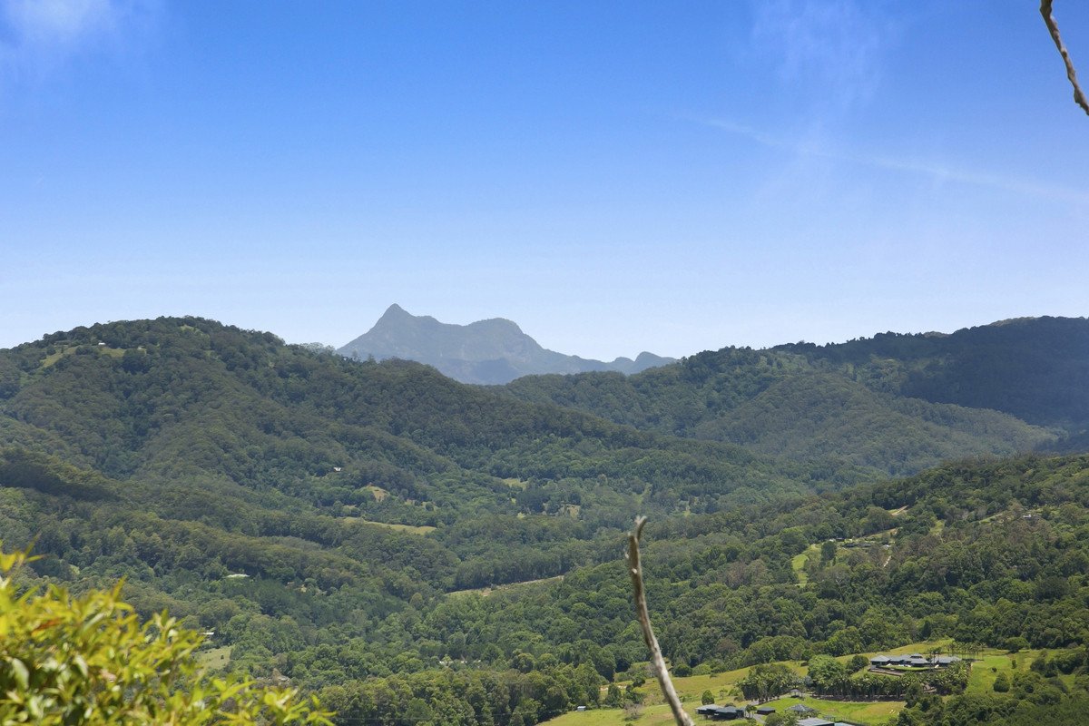 767 Trees Road Currumbin Valley 3