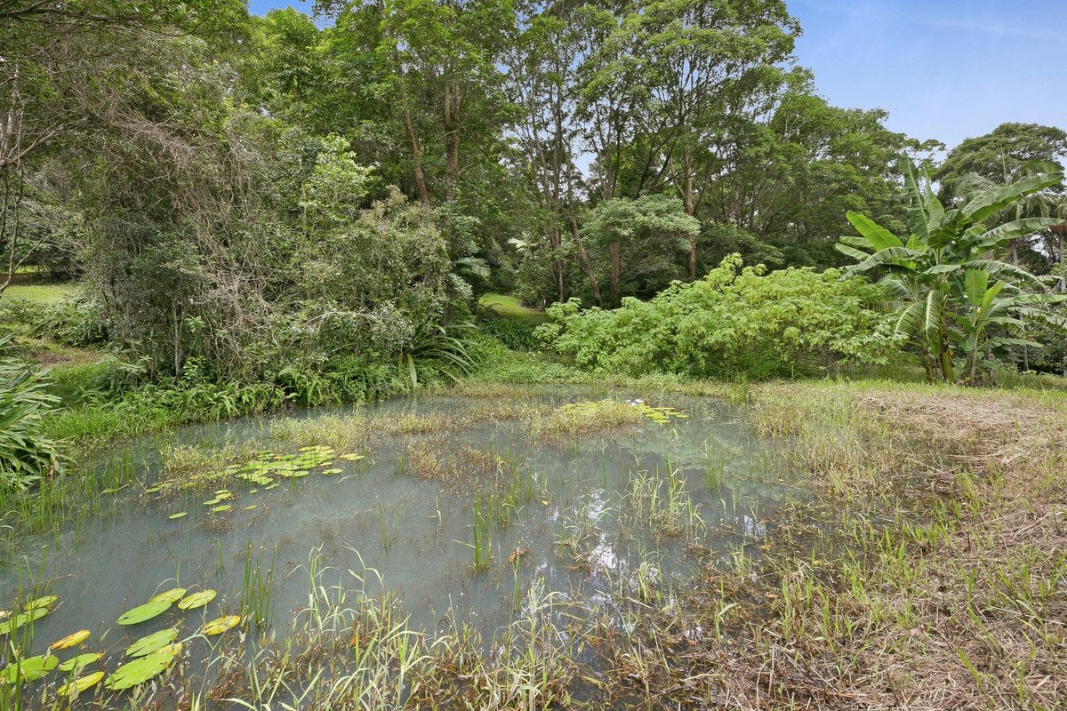 767 Trees Road Currumbin Valley 5