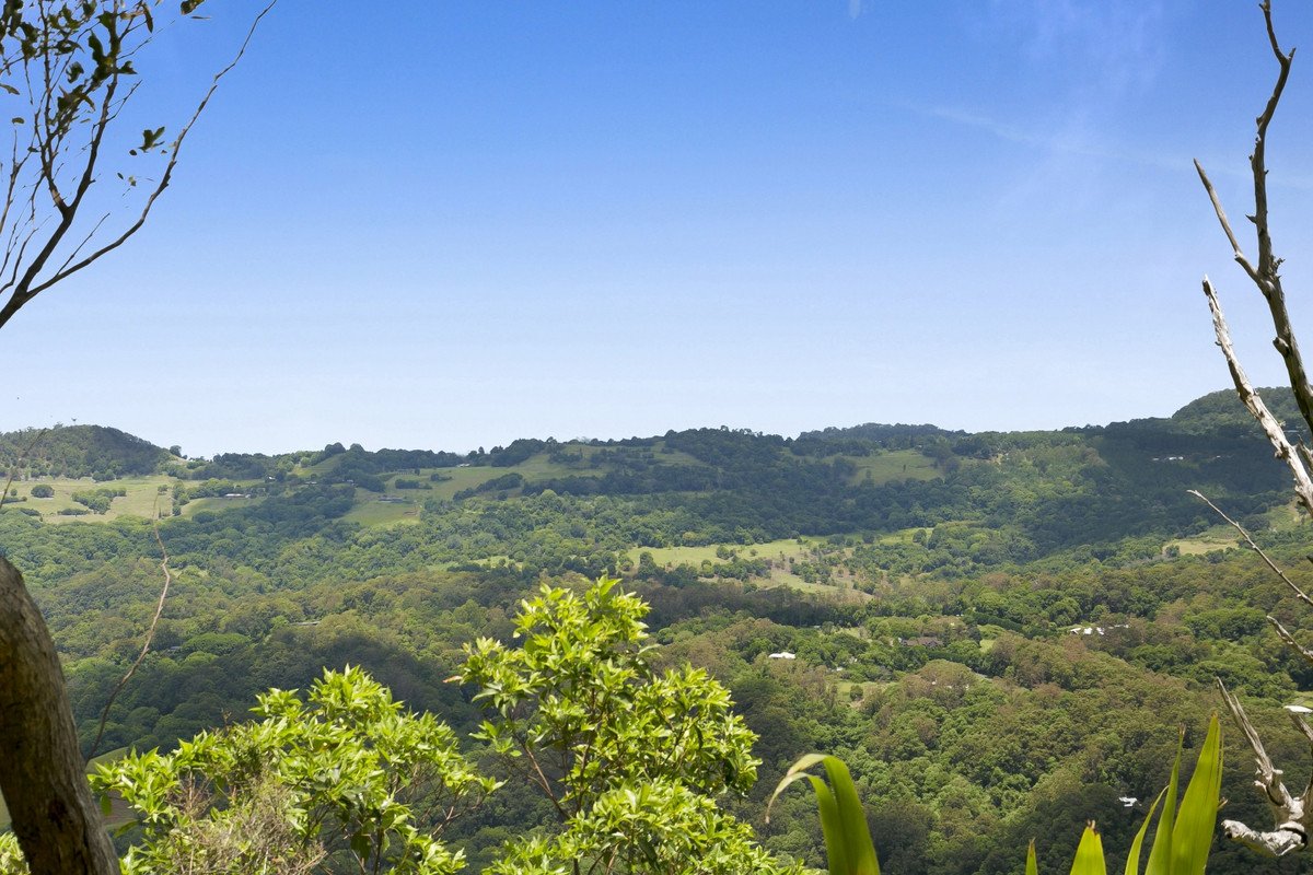 767 Trees Road Currumbin Valley 34