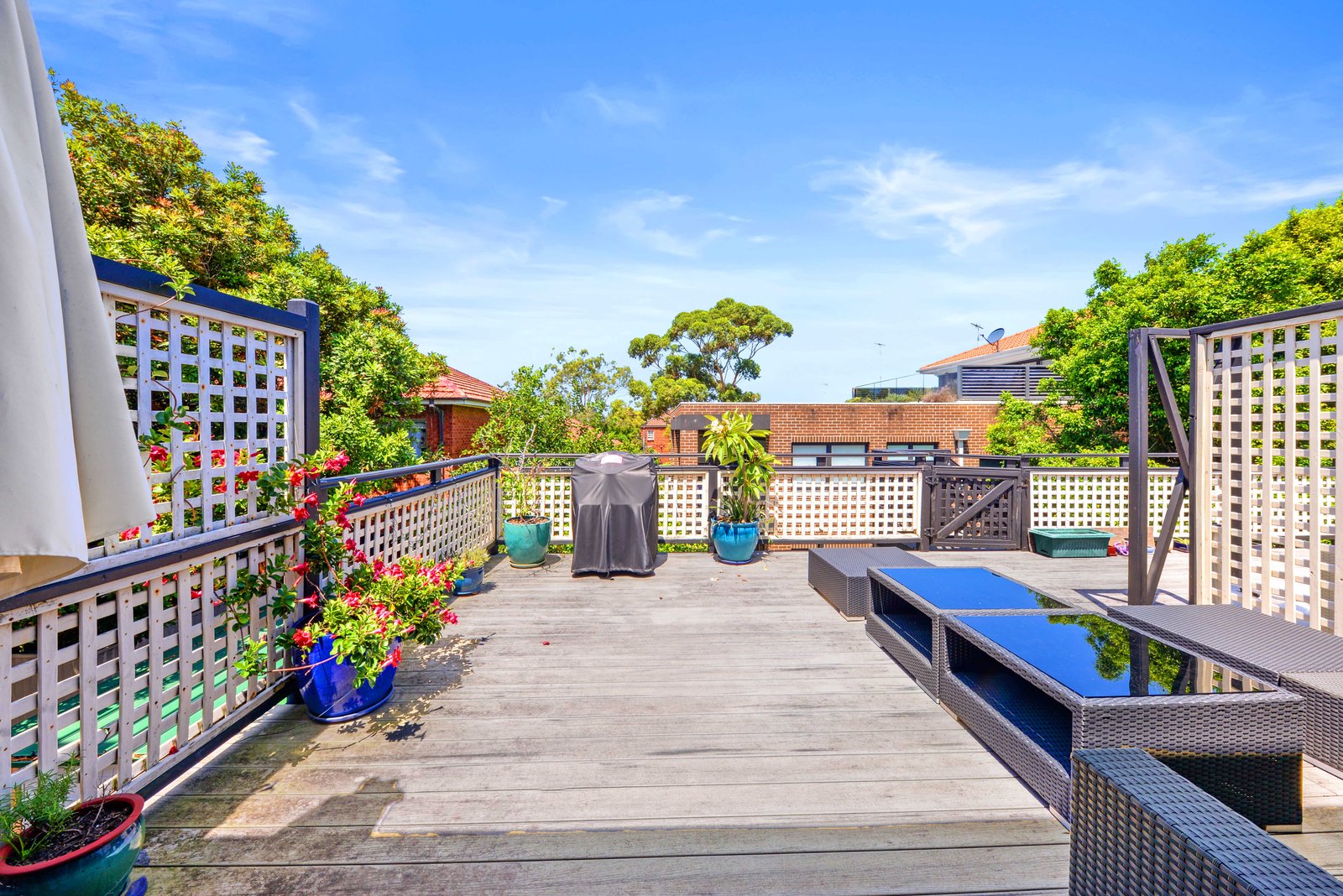77-79 Mount Street COOGEE 3