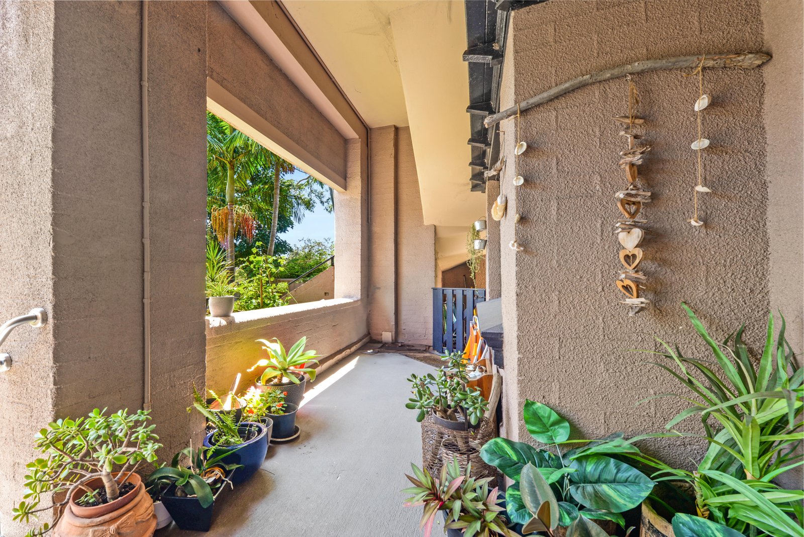 77-79 Mount Street COOGEE 8