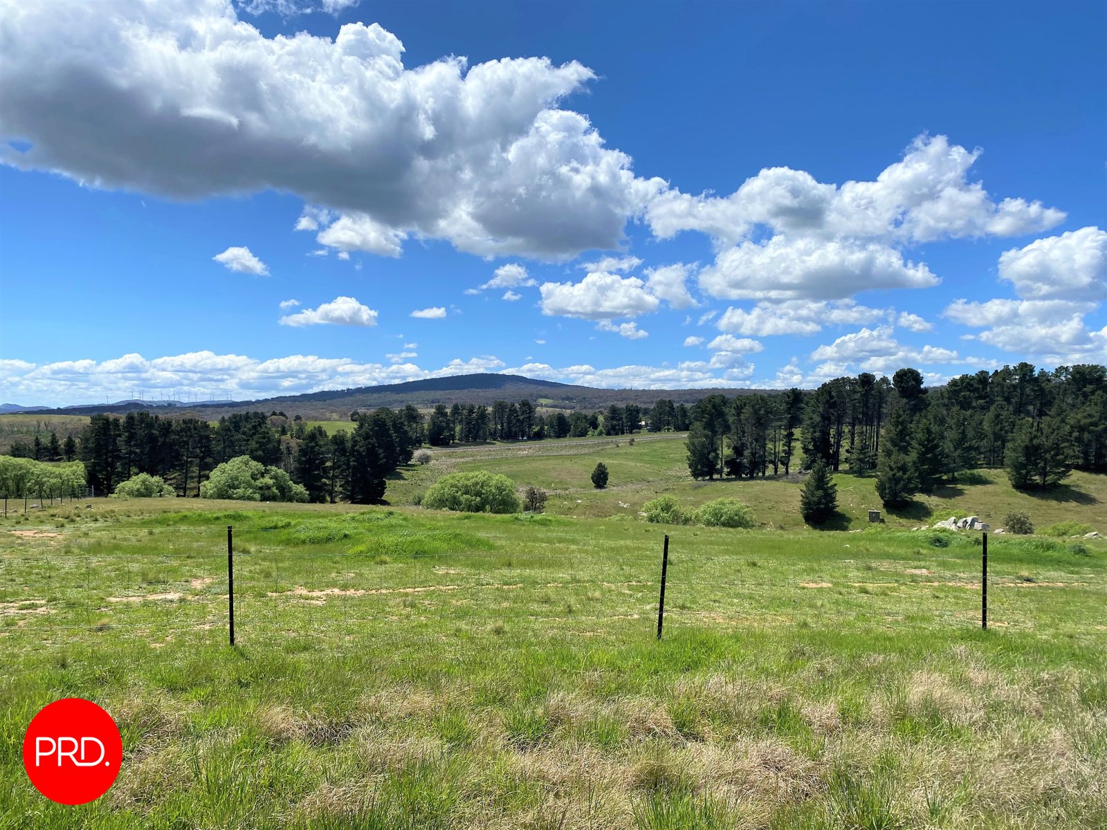 77 Aberfeldy Lane BUNGENDORE 8