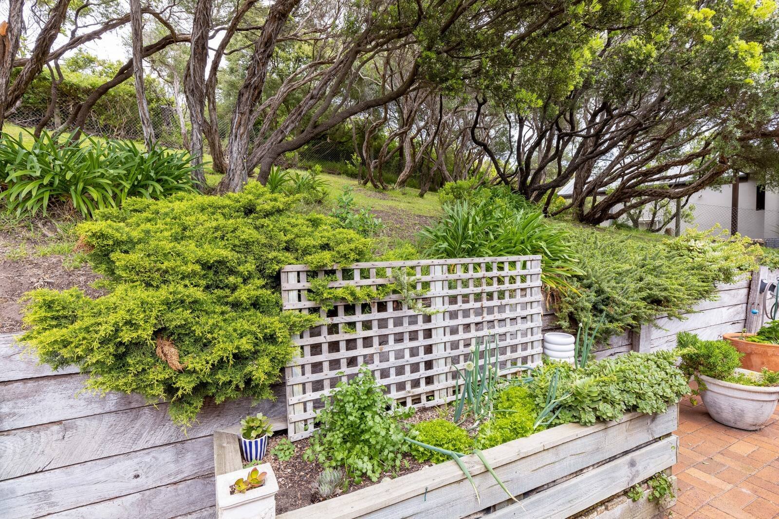 Real Estate and Property in 77 Avon Road, Rye, VIC