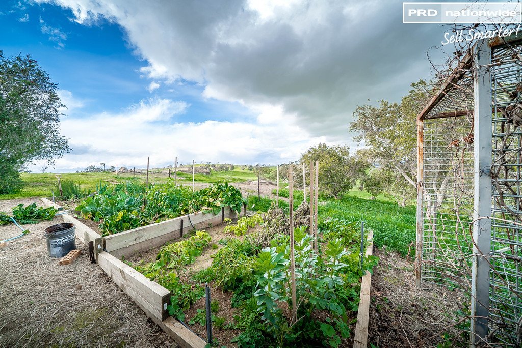 77 Bavin Road NORTH WAGGA WAGGA 19