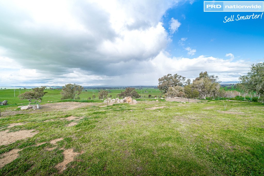 77 Bavin Road NORTH WAGGA WAGGA 20