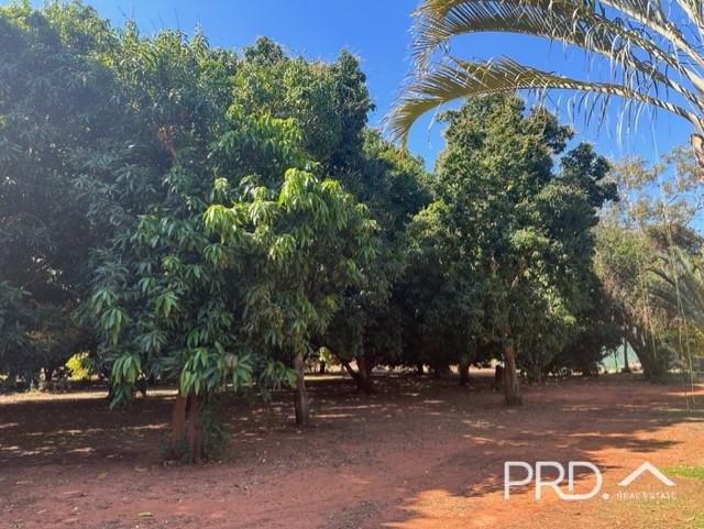 77 Chi Street ROEBUCK 15