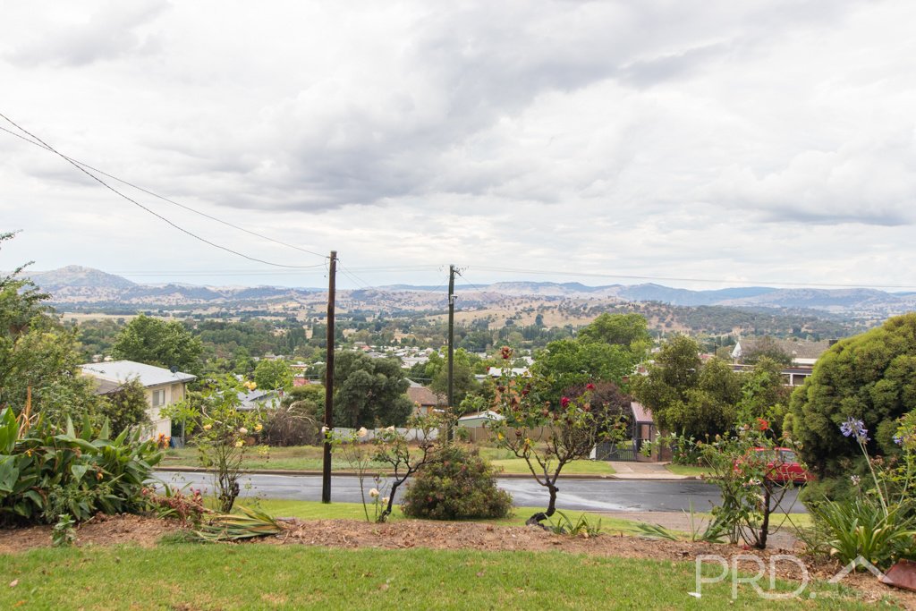 77 Dalhunty Street TUMUT 19