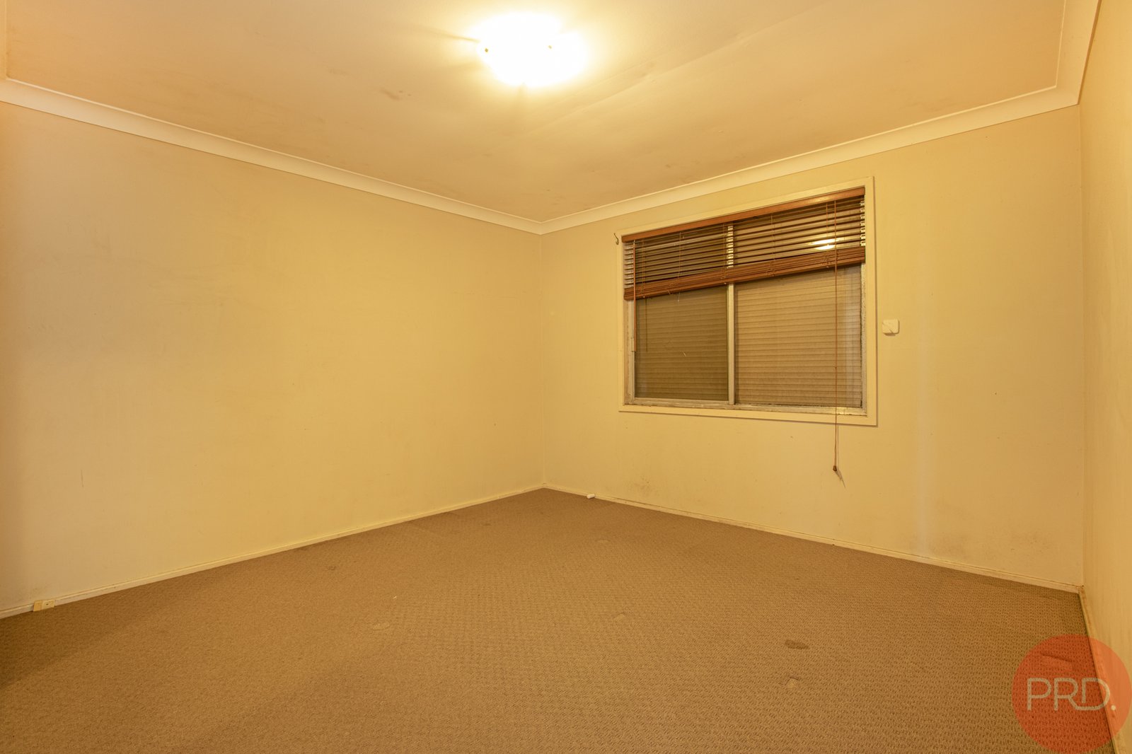 77 Dalwood Road EAST BRANXTON 11