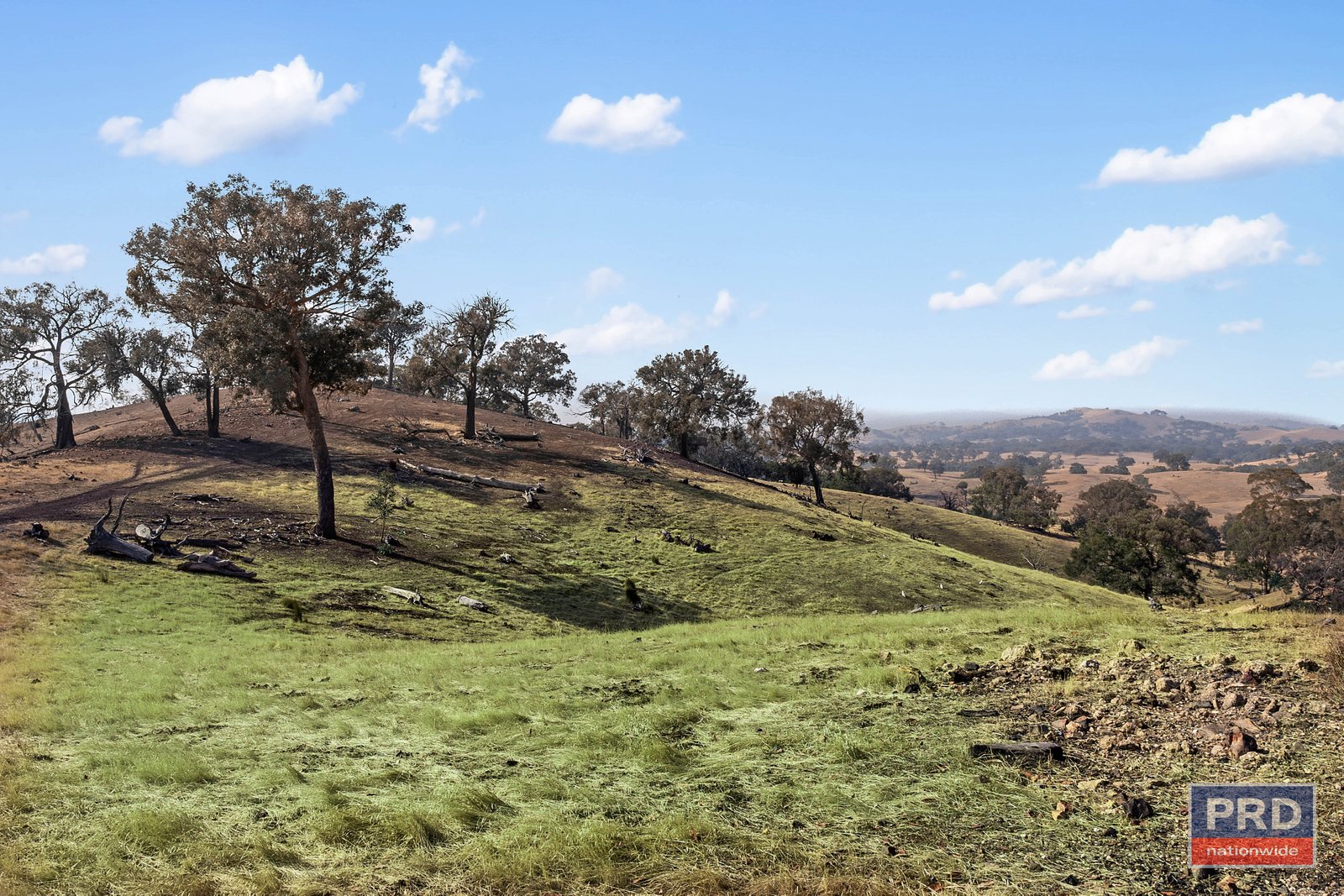 77 Drechsler Road SEDGWICK 3