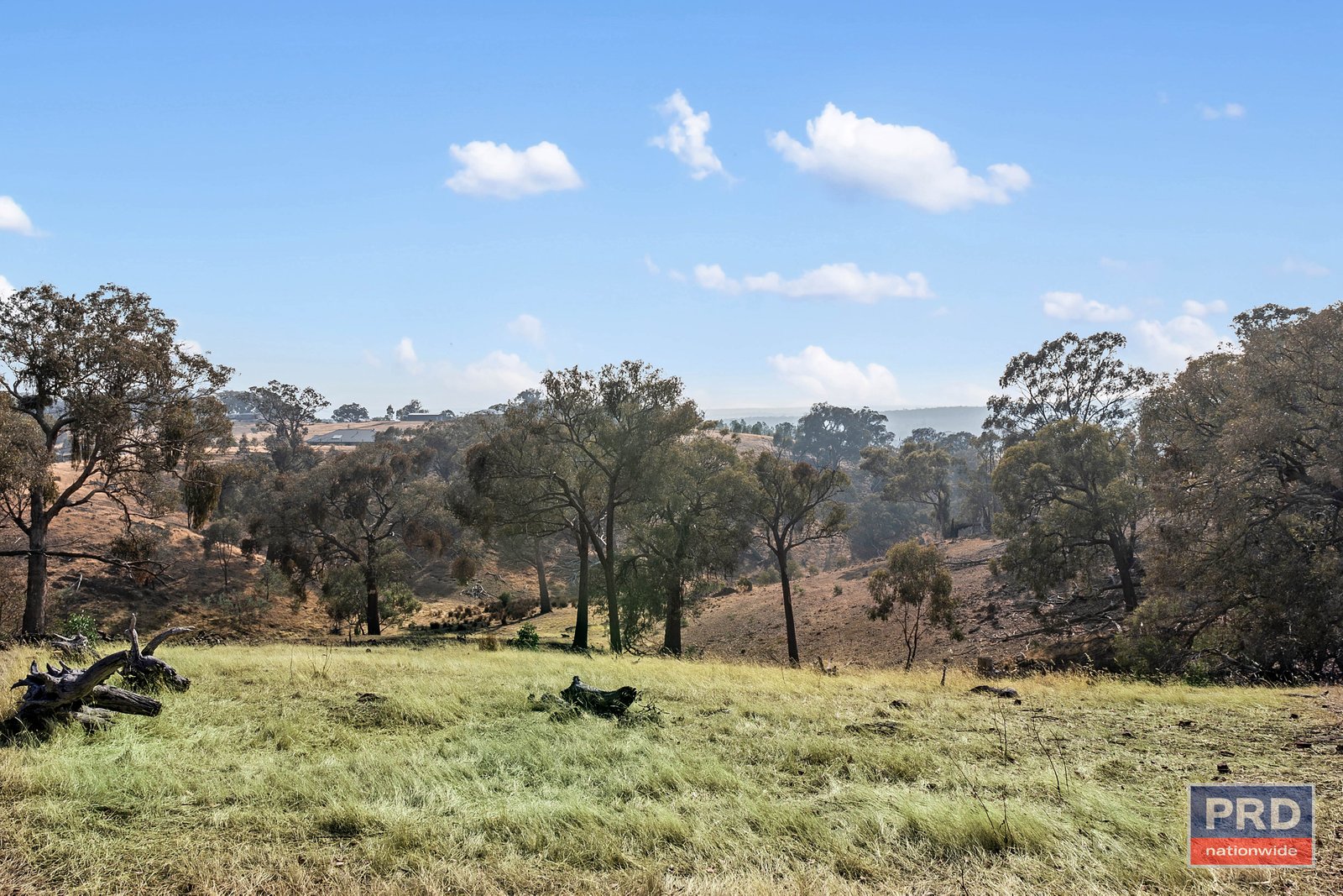 77 Drechsler Road SEDGWICK 4