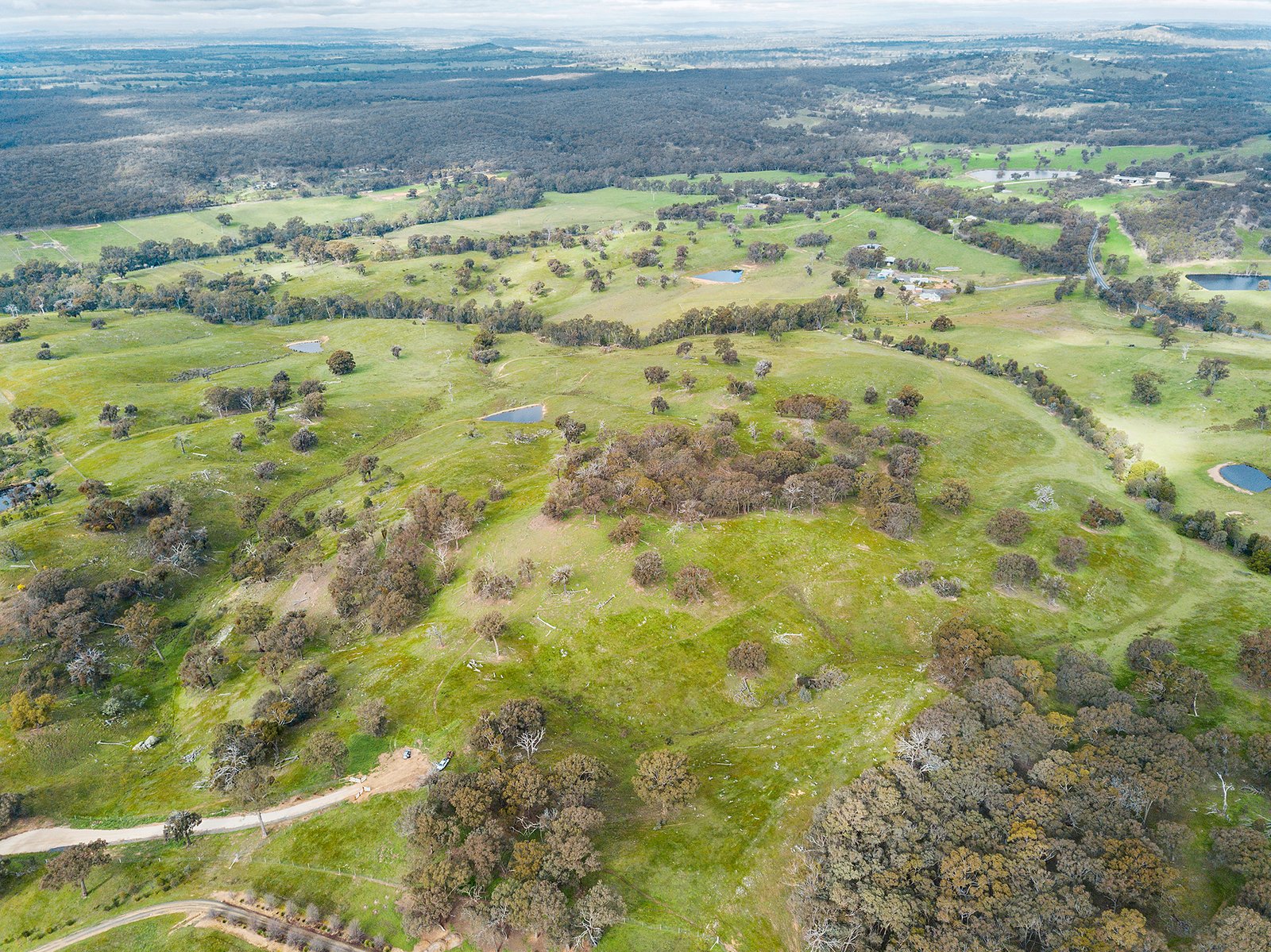 77 Drechsler Road SEDGWICK 6