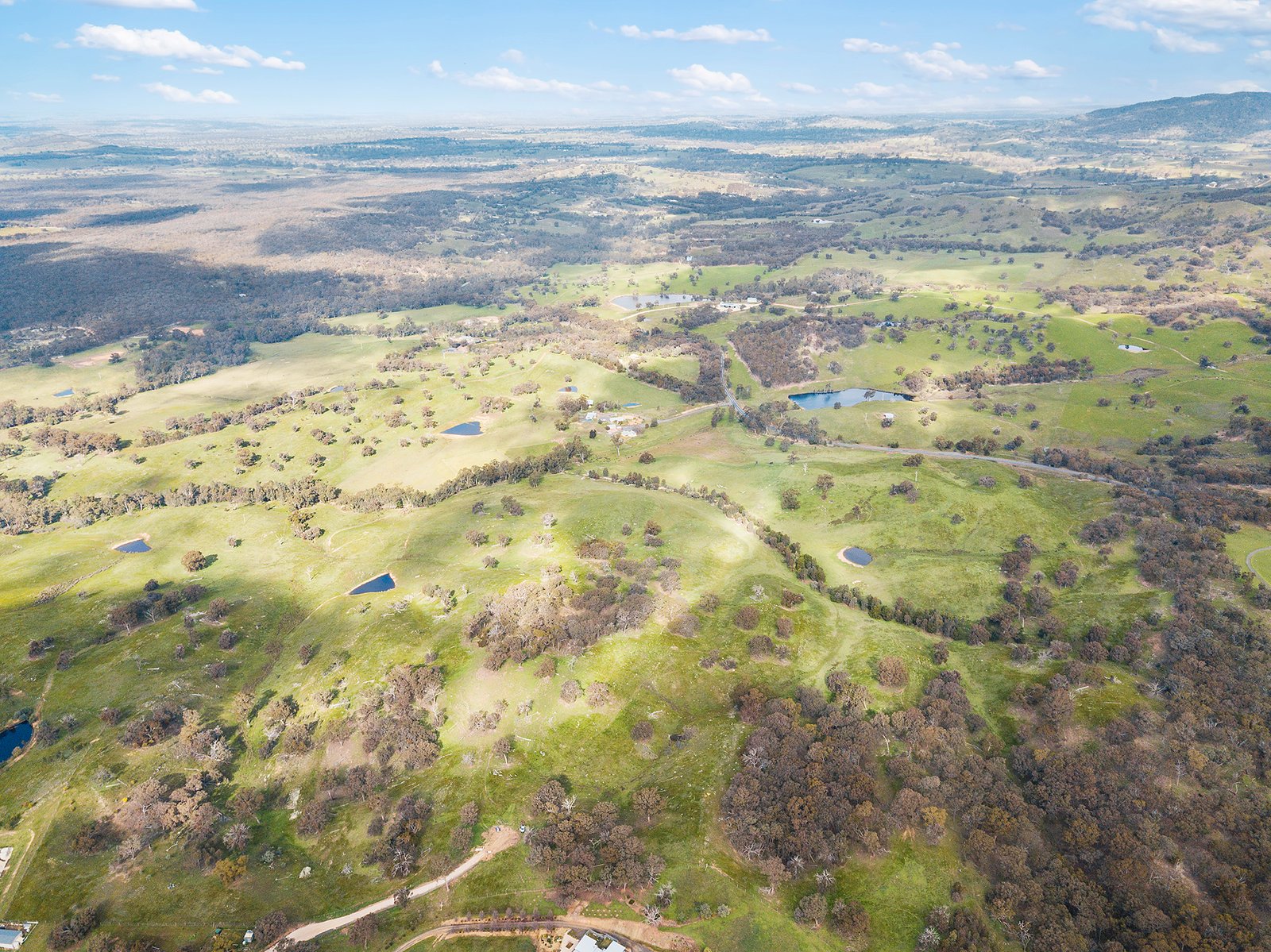 77 Drechsler Road SEDGWICK 8