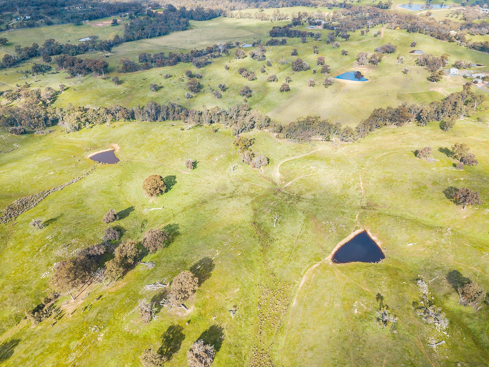 77 Drechsler Road SEDGWICK 10