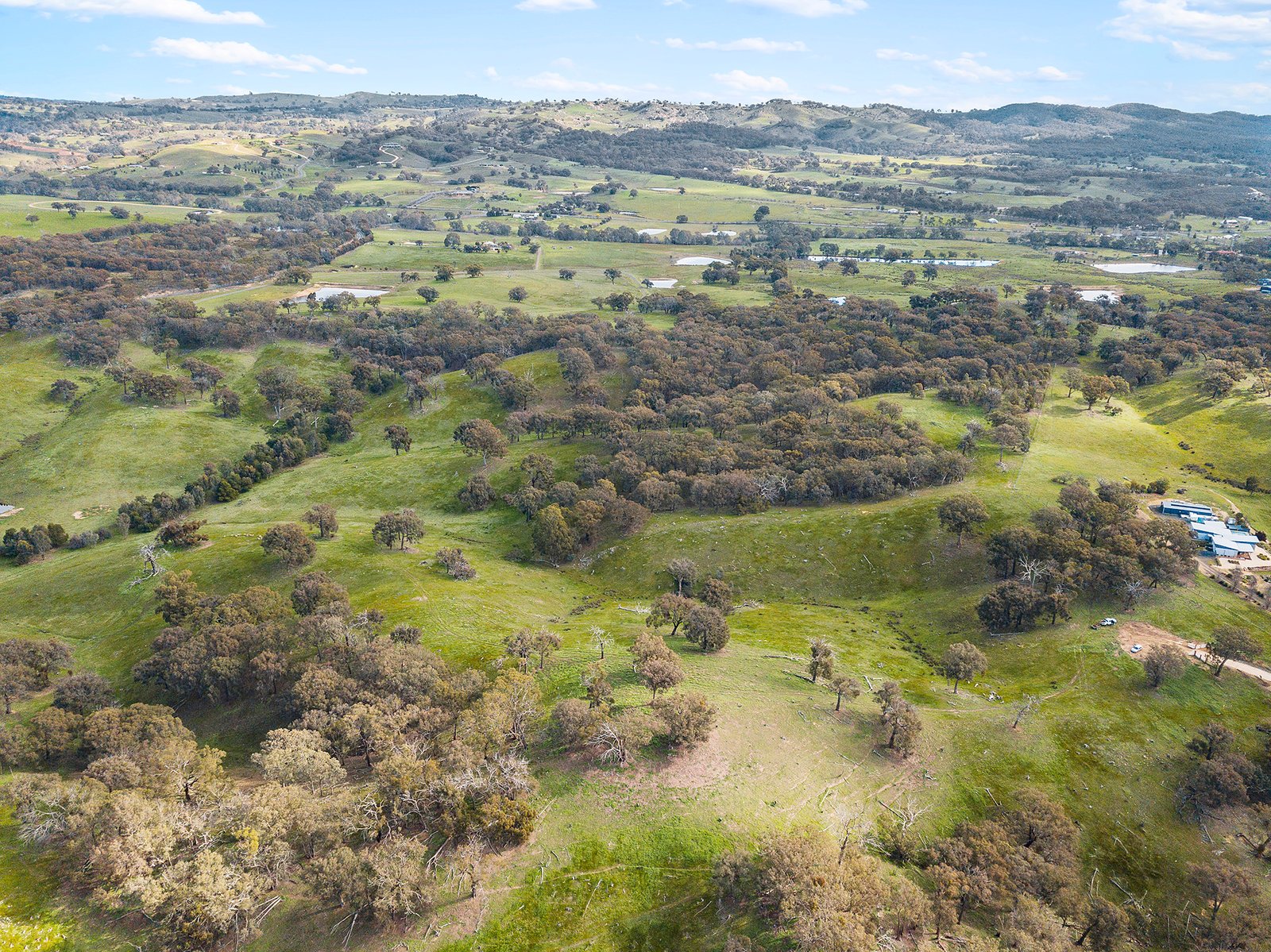 77 Drechsler Road SEDGWICK 12