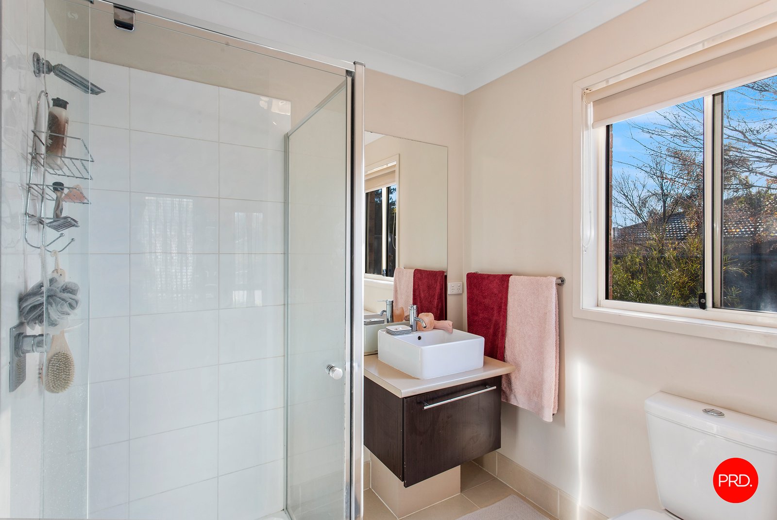 77 Dundas Street WHITE HILLS 8