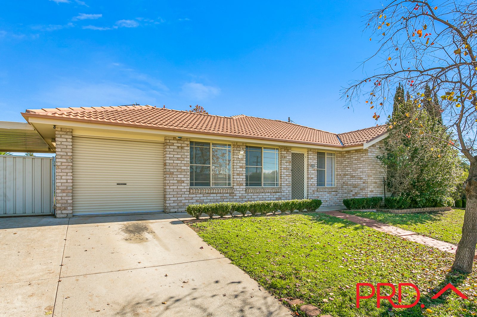 77 Flinders Street TAMWORTH 2