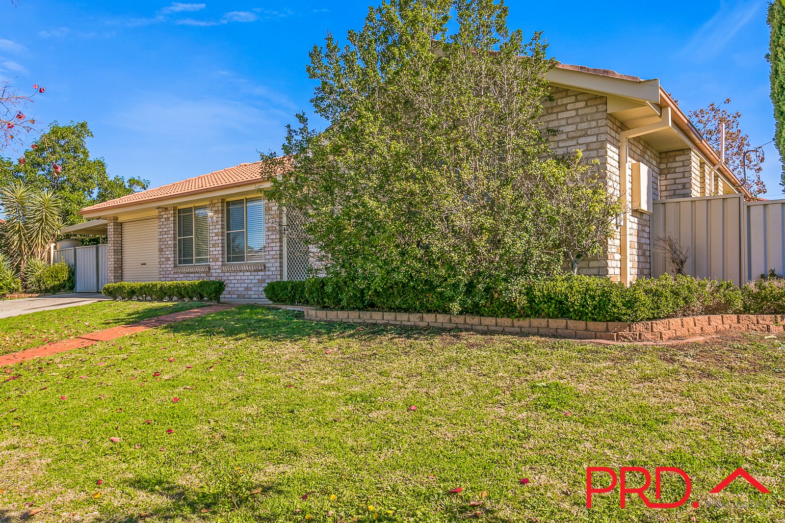 77 Flinders Street TAMWORTH 3