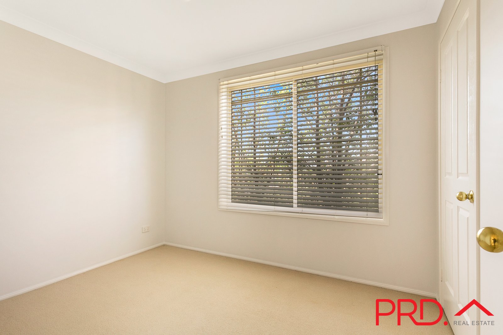 77 Flinders Street TAMWORTH 15