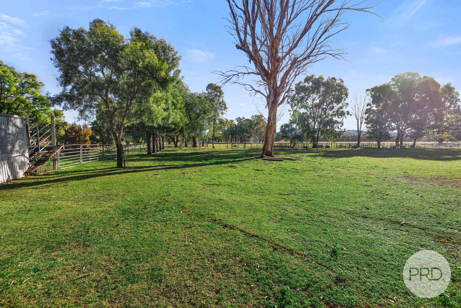 77 Gap Road WERRIS CREEK 22