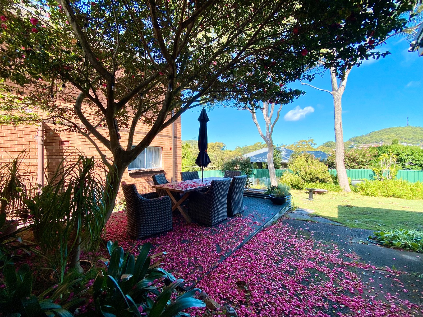 77 Government Road NELSON BAY 3