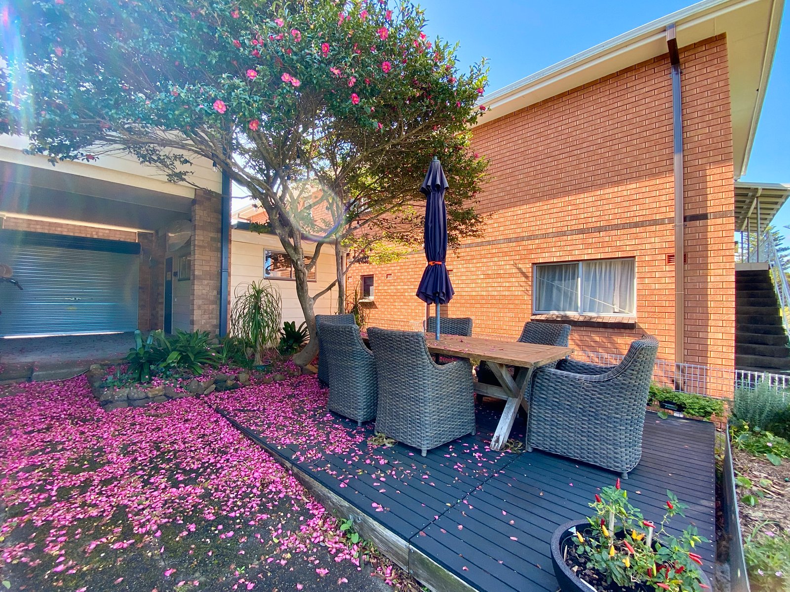 77 Government Road NELSON BAY 24